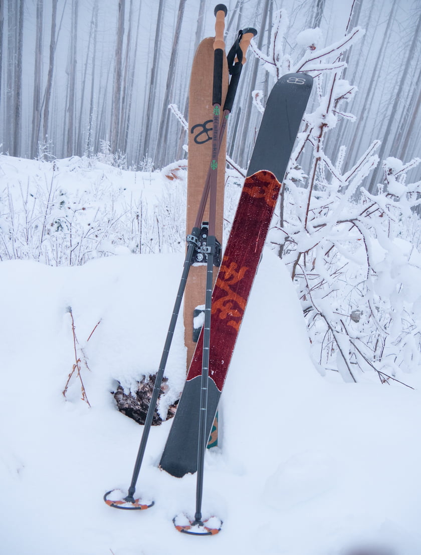 Altai Ski Pole